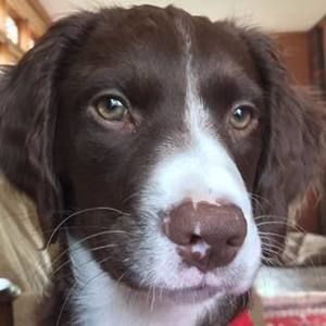 Meet your Posher, Jim